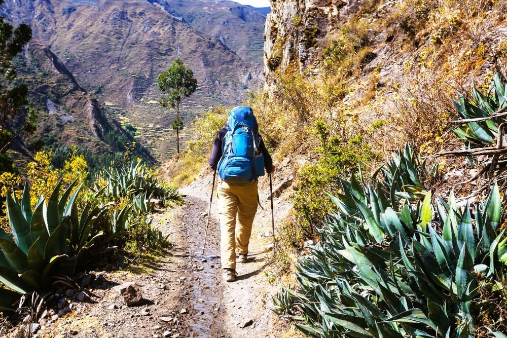 A hiker with a large blue backpack and trekking poles walks along a narrow dirt path, surrounded by spiky green plants, with a vast, rugged mountain valley in the background under a clear sky.