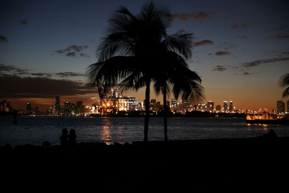Silhouette of palm trees and people by the sea against the illuminated Miami skyline and port at dusk.