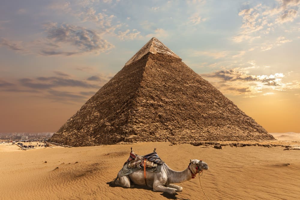 A resting camel in the foreground of the Pyramid of Khafre, Egypt, under a dramatic sky.