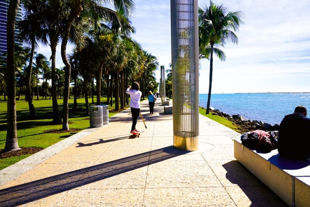 A person longboarding along a palm-lined promenade in South Pointe Park, Miami Beach, with the ocean visible on the right.