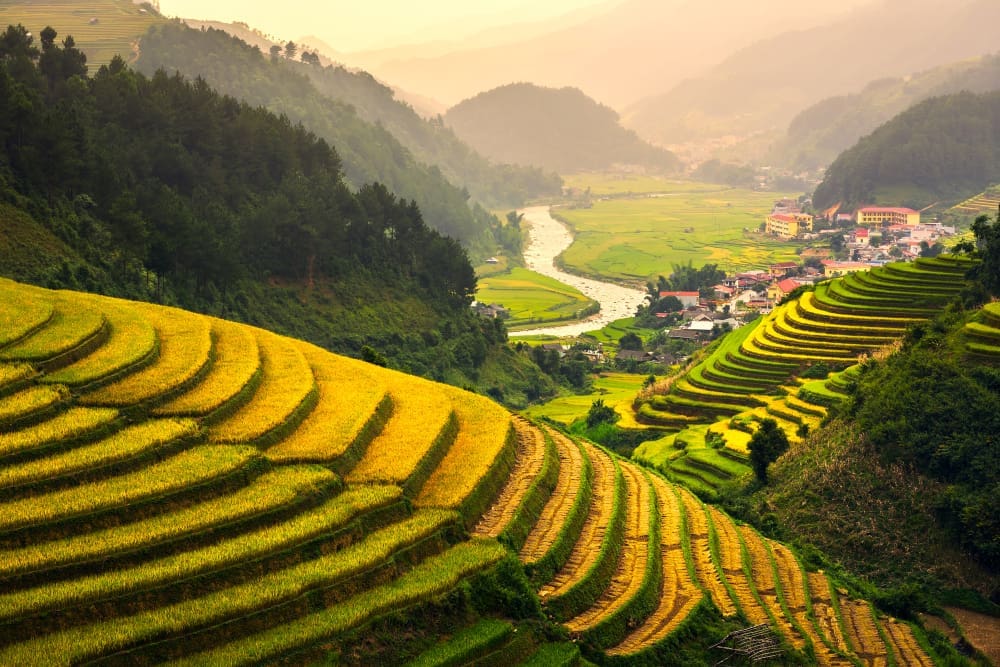 A panoramic landscape of golden and green terraced rice paddy fields cascading down mountains, with a winding river and village in the valley, in Northern Vietnam.
