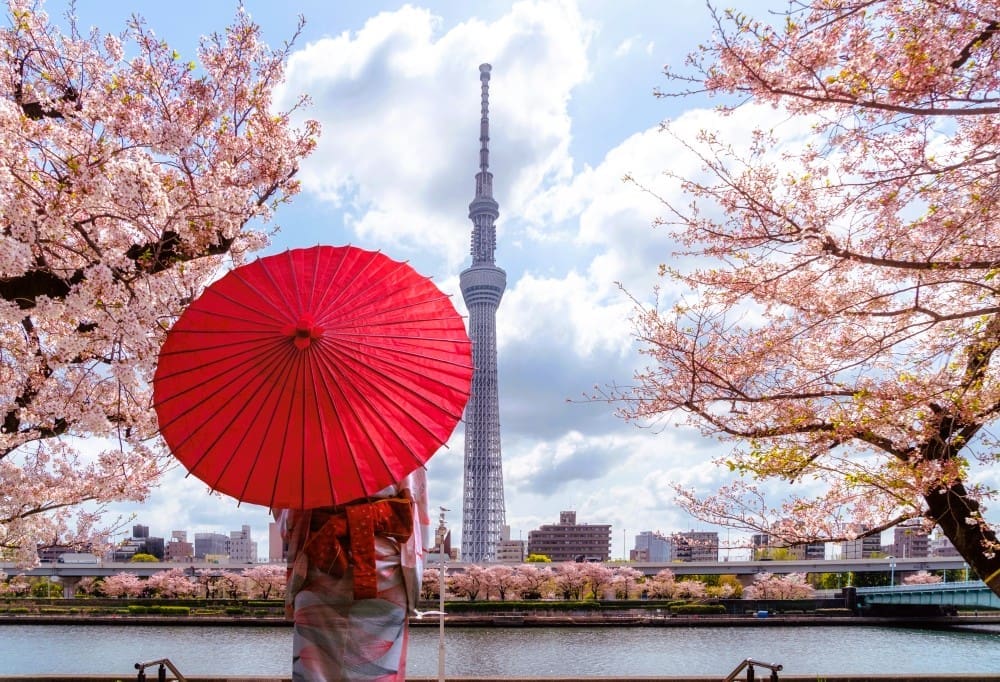 A person in a kimono holds a red umbrella, framed by vibrant pink cherry blossoms, with the Tokyo Skytree tower visible across a river in the background under a bright spring sky.