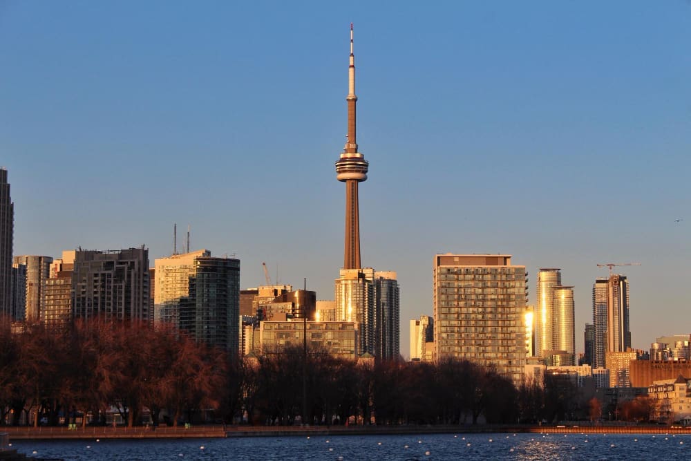 The Toronto skyline at sunset, featuring the iconic CN Tower prominently, surrounded by various skyscrapers reflecting the golden light, all seen across a body of water with bare trees in the foreground.