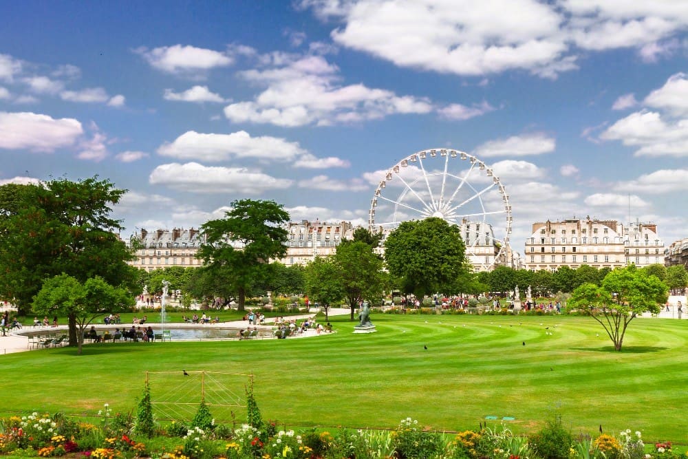 A wide view of the expansive green lawn of the Tuileries Garden in Paris, France, with a large white Ferris wheel and classic buildings in the background under a blue sky with fluffy clouds. People are enjoying the park.