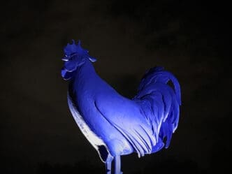 A low-angle shot of a large, stylized blue rooster statue, dramatically lit from below against a dark night sky.