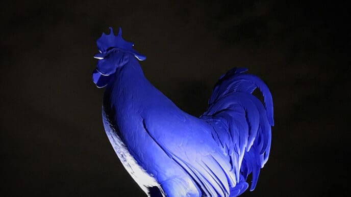 A low-angle shot of a large, stylized blue rooster statue, dramatically lit from below against a dark night sky.