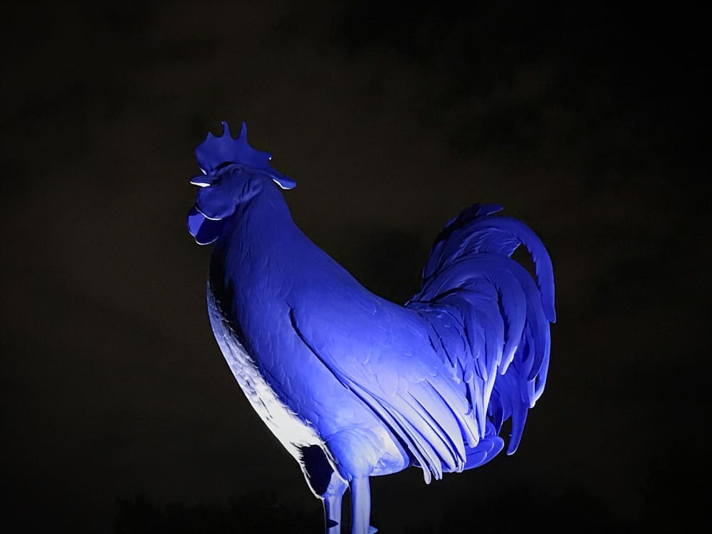 A low-angle shot of a large, stylized blue rooster statue, dramatically lit from below against a dark night sky.