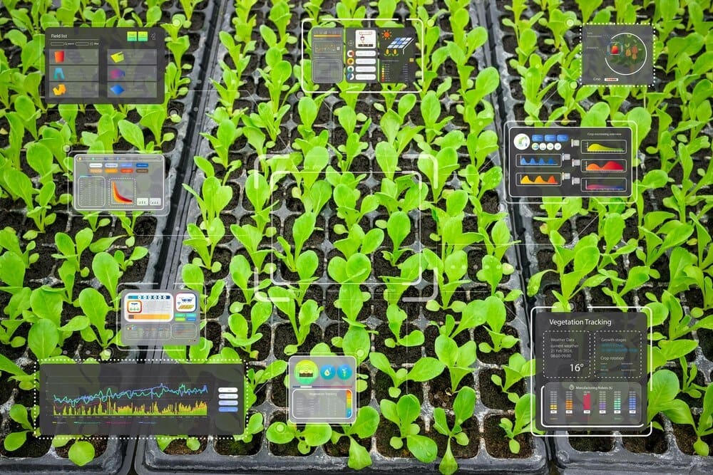 A digital interface displays data about the growing conditions in a lettuce farm.