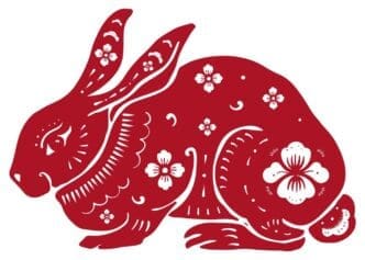 A red cartoon rabbit, representing the Chinese zodiac sign, is depicted as a sticker or PNG graphic.