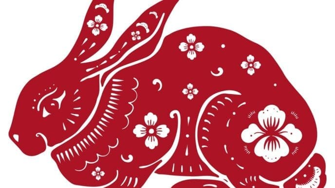 A red cartoon rabbit, representing the Chinese zodiac sign, is depicted as a sticker or PNG graphic.