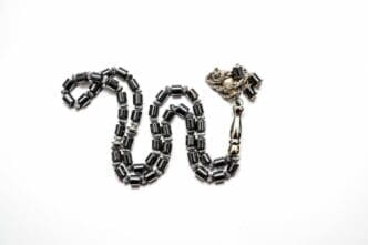 The Metal Snake: Personality, Traits & Characteristics