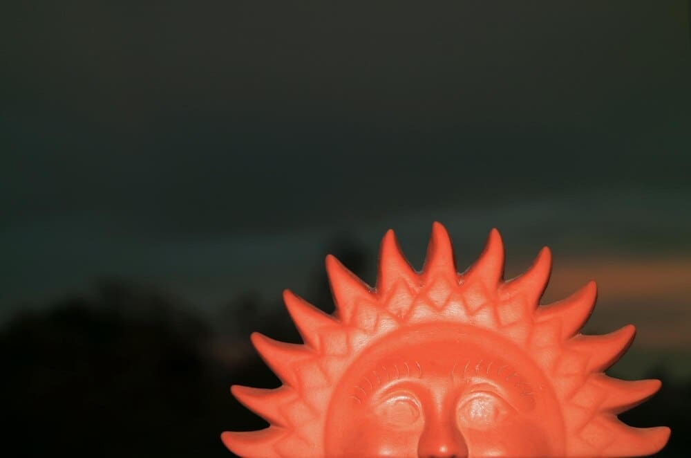 Close-up of a vibrant orange flower in full bloom against a bright blue sky.