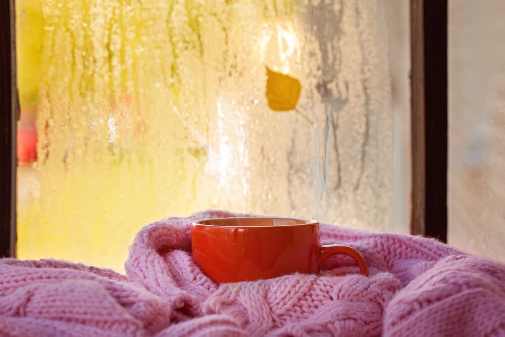 Cup of tea or coffee sits on a windowsill with yellow leaves against a rain-streaked window.