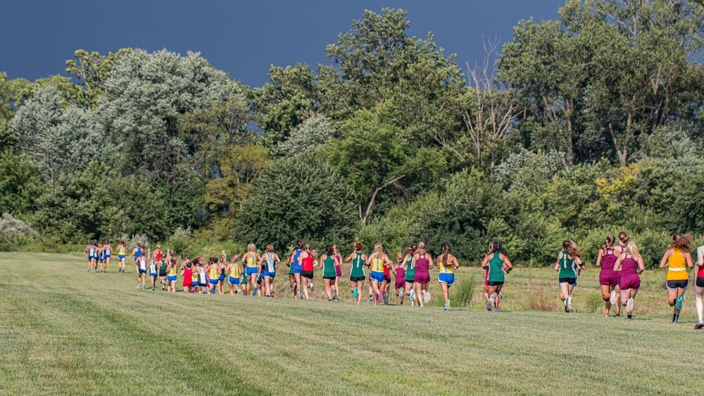 Cross country racers compete in a full-frame view.