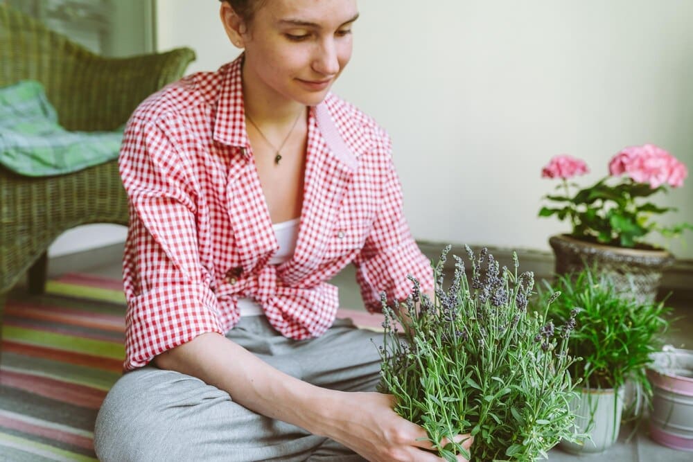 A person tends to a garden, focusing on floriculture and plant care.