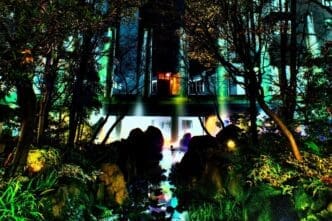 Buildings with lights shine through a silhouetted forest at night.