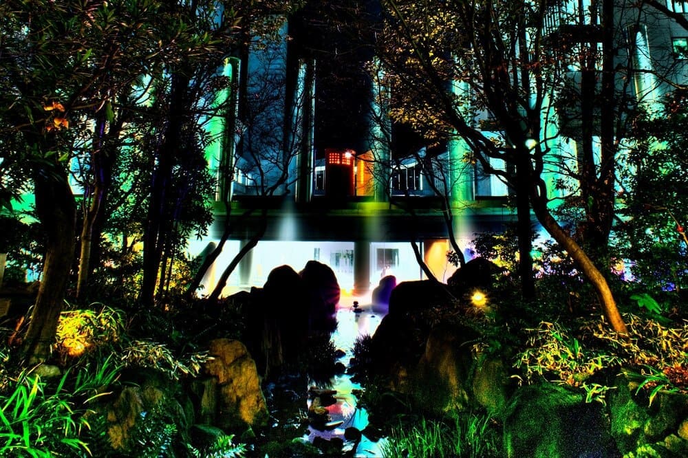Buildings with lights shine through a silhouetted forest at night.
