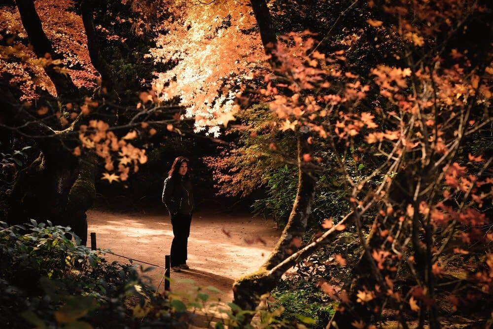 A woman stands among colorful autumn leaves in a traditional Japanese garden.