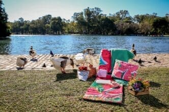 A picnic blanket is set up in a park, with a lake and wild geese visible in the background.