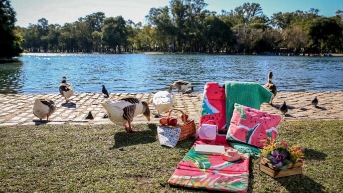 A picnic blanket is set up in a park, with a lake and wild geese visible in the background.