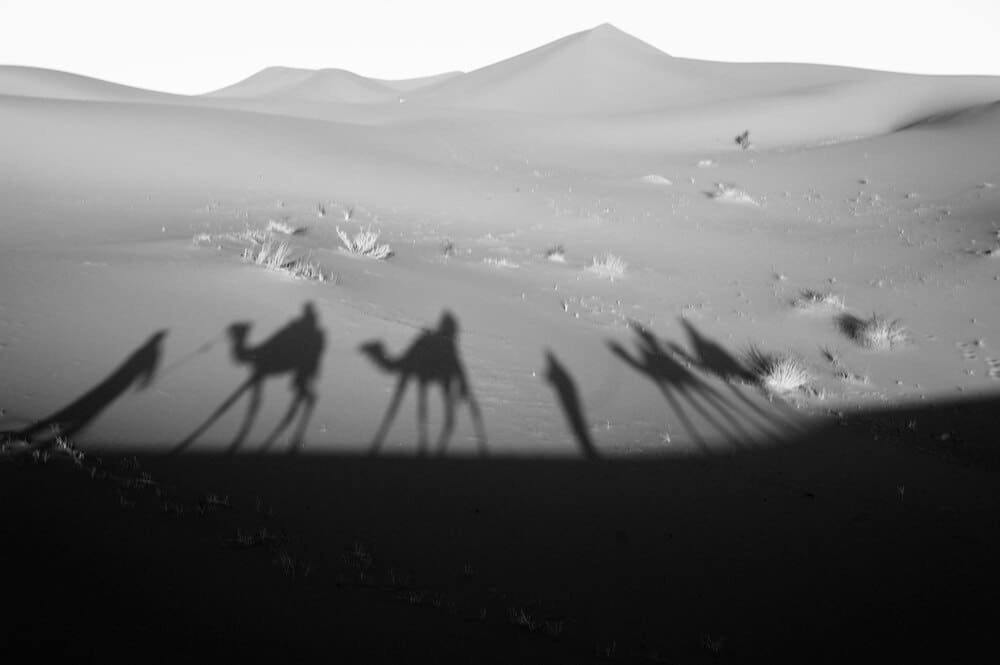 Rear view of several people stroll along a sandy beach with the sky in the background.