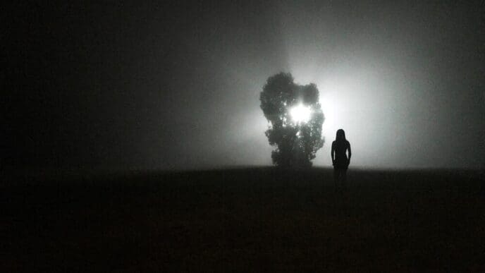 Silhouette of a woman standing outdoors at night against a starry sky.