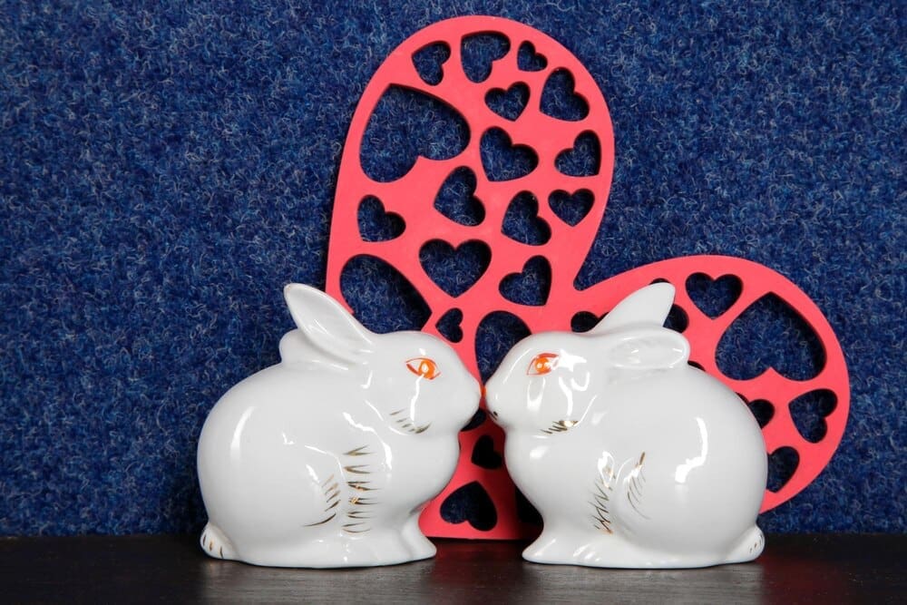 Two white porcelain rabbits are positioned in front of a red heart, symbolizing love.