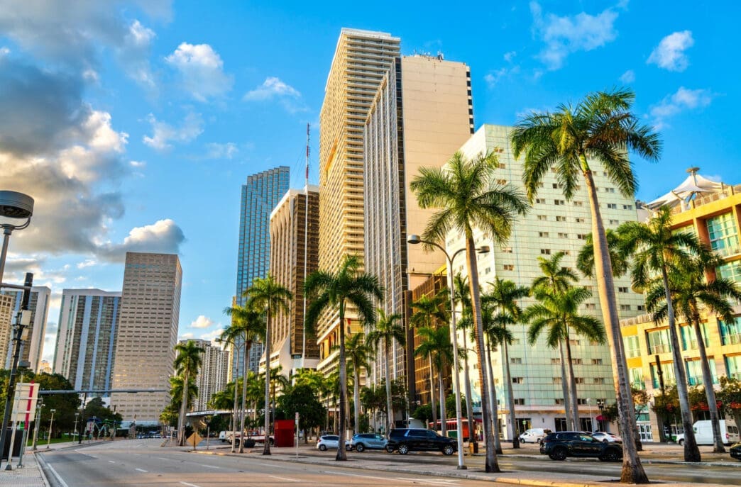 A wide view of downtown Miami, with tall skyscrapers and palm trees lining the wide, multi-lane Biscayne Boulevard on a sunny day.