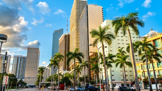 A wide view of downtown Miami, with tall skyscrapers and palm trees lining the wide, multi-lane Biscayne Boulevard on a sunny day.