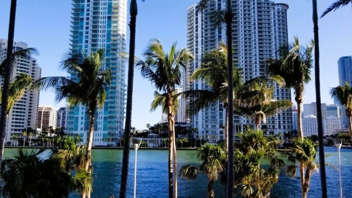 The urban waterfront of Miami, with tall modern skyscrapers and a wide river, is framed by numerous tall palm trees. A person with a stroller is walking on the path below under a clear blue sky.