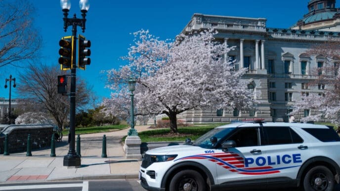 A police car parked in front of the U.S. Capitol building, with a cherry blossom tree in full bloom and a traffic light in the foreground.