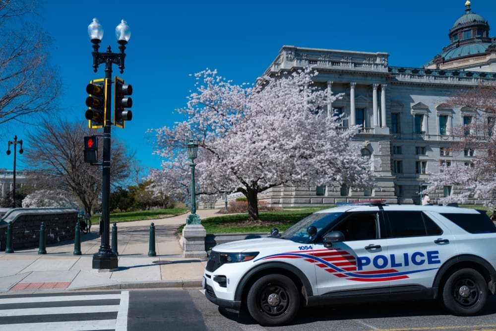 A police car parked in front of the U.S. Capitol building, with a cherry blossom tree in full bloom and a traffic light in the foreground.