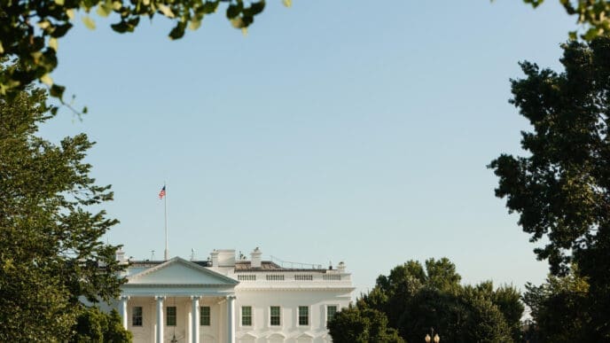 The White House is partially visible behind a frame of green trees against a clear blue sky