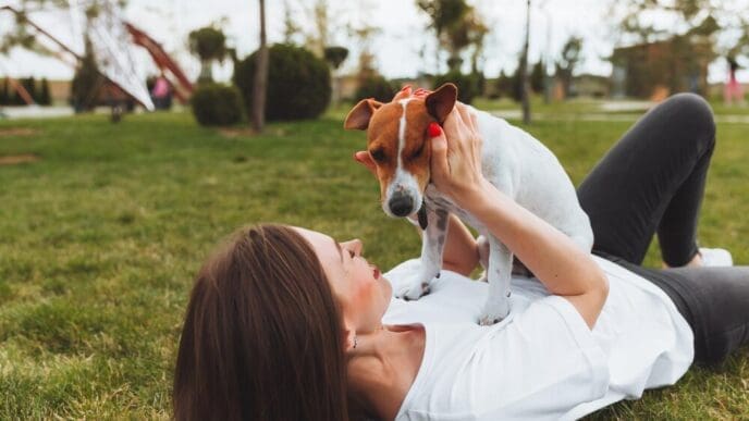A Caucasian woman lies on the grass in a park, playing with her Jack Russell Terrier.