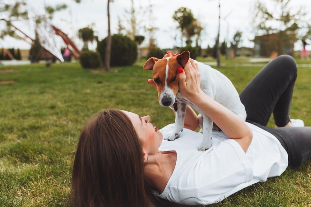 A Caucasian woman lies on the grass in a park, playing with her Jack Russell Terrier.