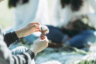 Close-up of a hand gently holding a fluffy white cotton ball.
