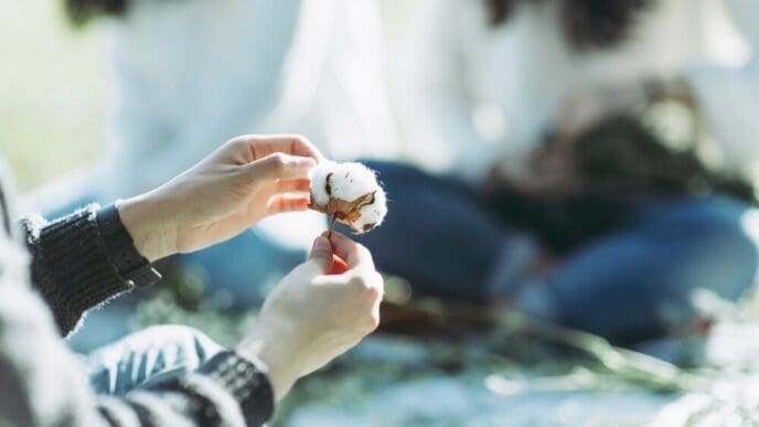 Close-up of a hand gently holding a fluffy white cotton ball.