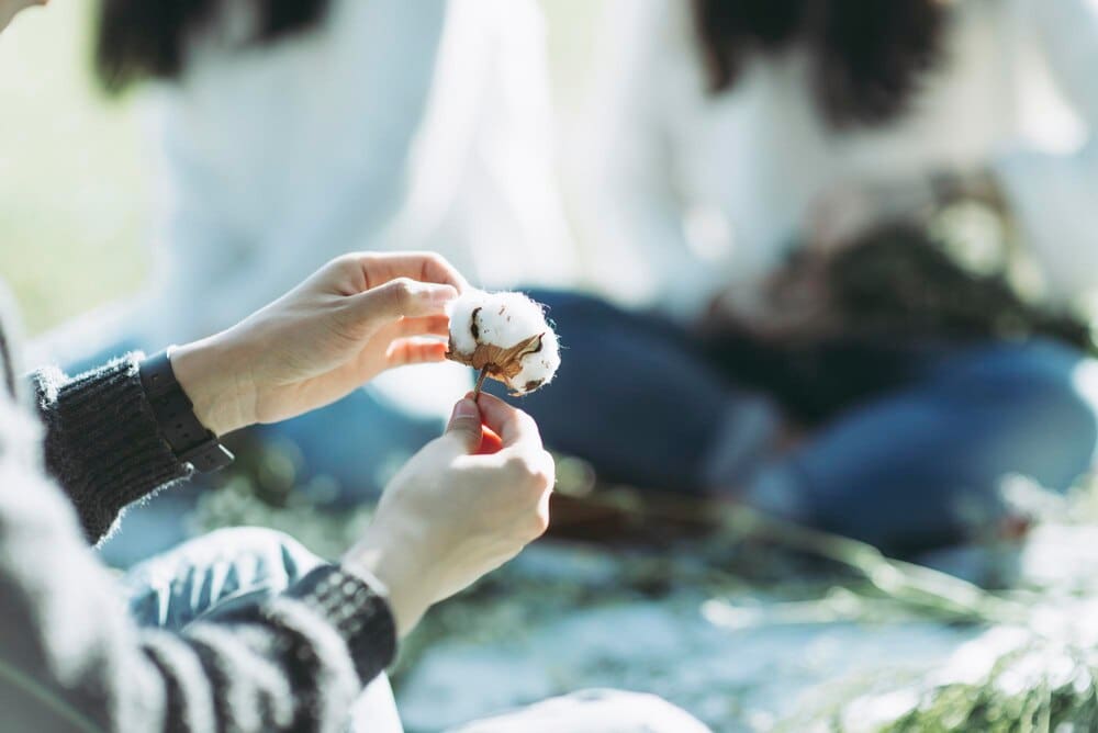 Close-up of a hand gently holding a fluffy white cotton ball.