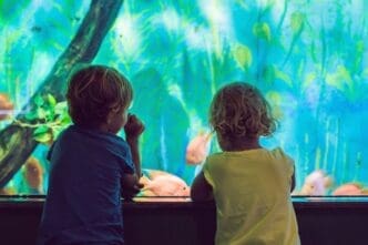 A young boy and girl watch colorful coral fish in a large aquarium tank at the zoo.