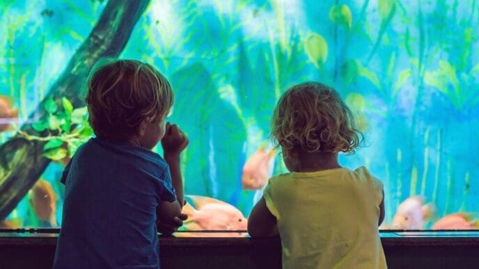 A young boy and girl watch colorful coral fish in a large aquarium tank at the zoo.