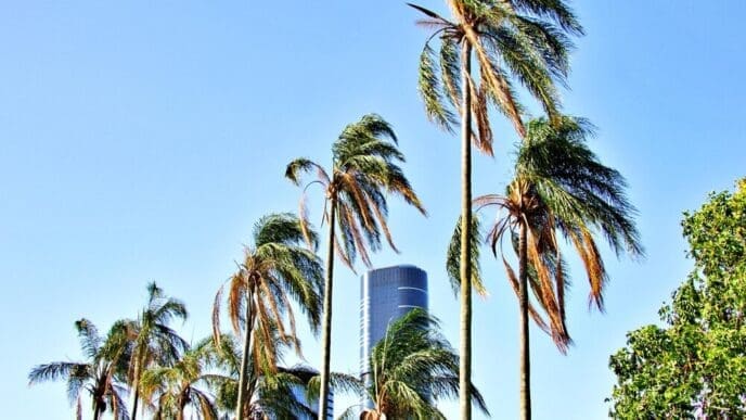 Low-angle shot of tall coconut palm trees silhouetted against a bright blue sky.