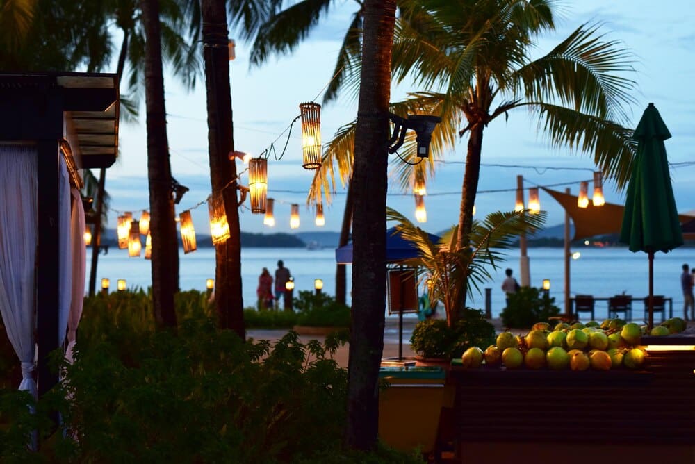 Palm trees silhouetted against a vibrant, dusky sky.