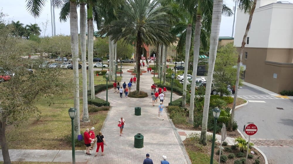 People stroll along a street lined with palm trees.