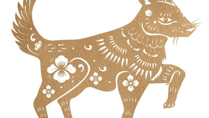 Illustration of a golden dog, representing the Chinese zodiac, with a festive design.