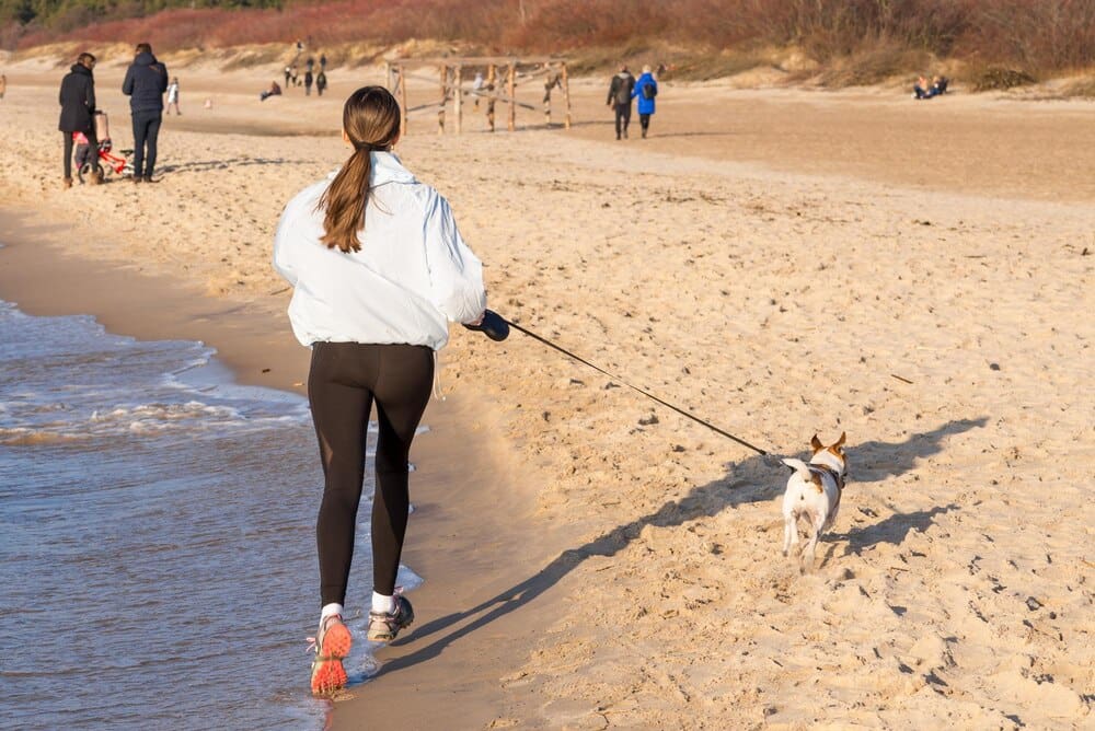 A girl runs on a sandy beach with a dog, the ocean visible in the background, with other people walking in the distance.