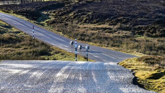 A winding road travels through a scenic landscape.