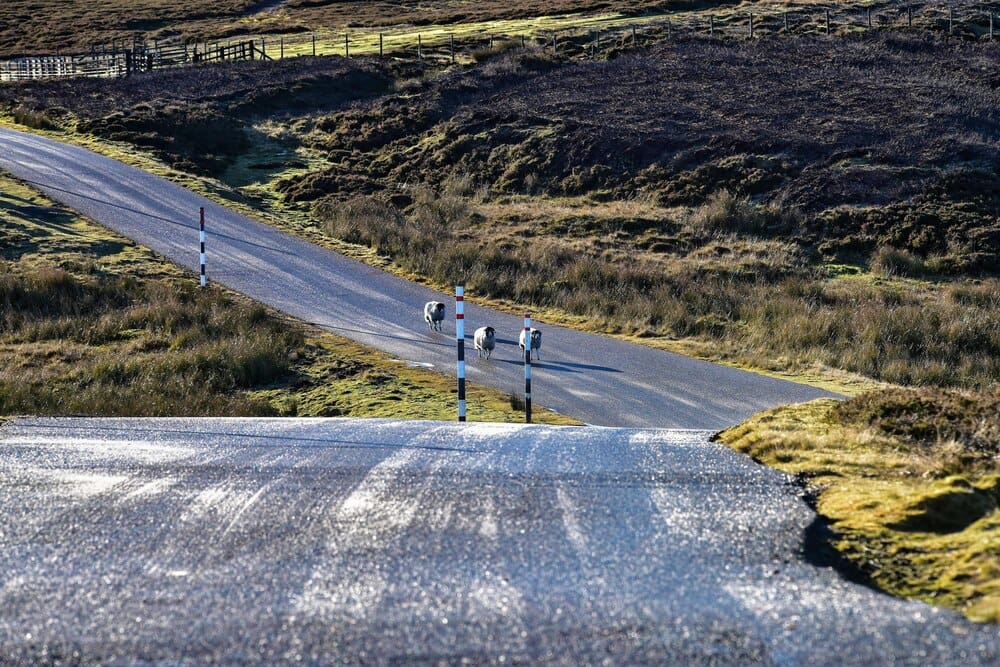 A winding road travels through a scenic landscape.