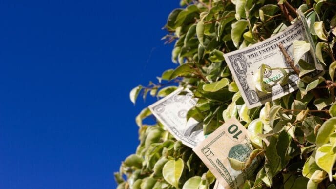 US dollar bills layered on a leafy green bush contrast against a bright blue sky.