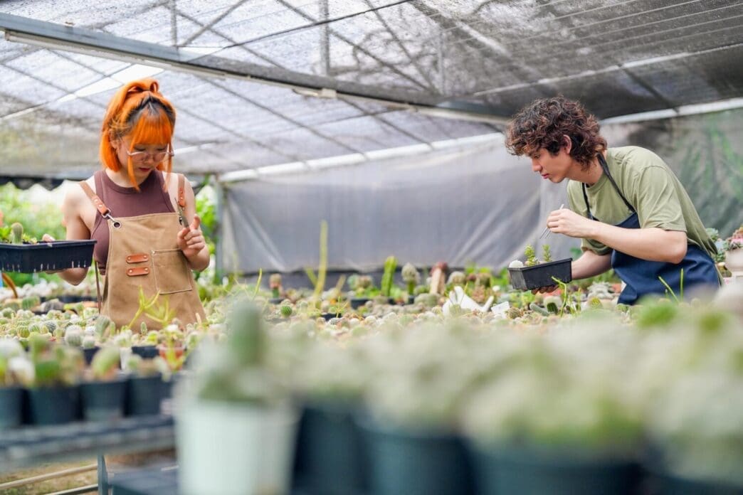 Young Asian men and women of Gen Z tend to a small, eco-friendly cactus farm.