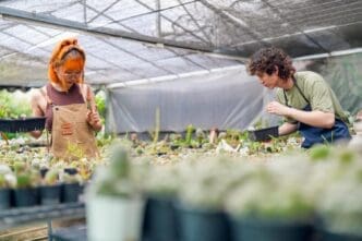 Young Asian men and women of Gen Z tend to a small, eco-friendly cactus farm.